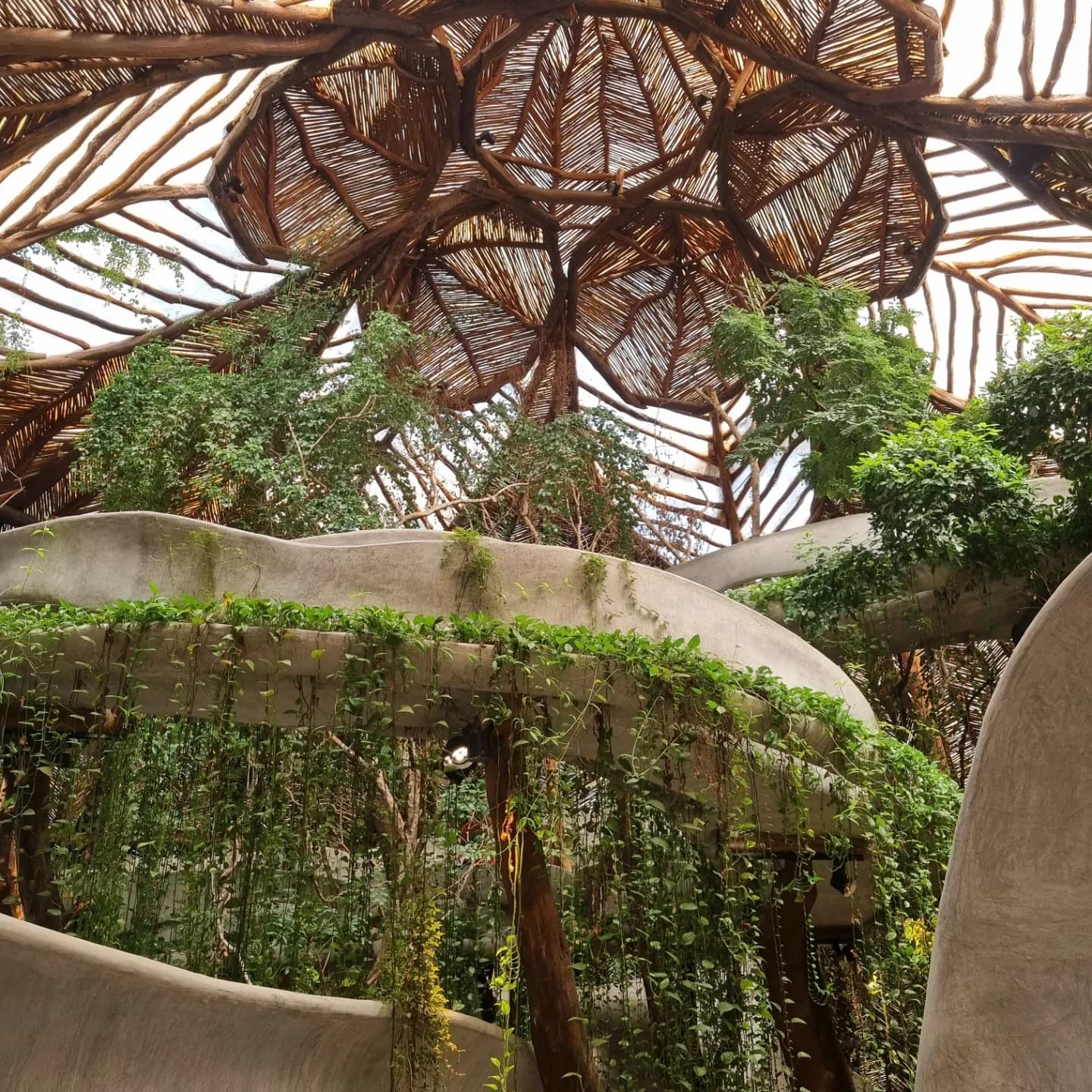 Interior de lujo en propiedad caribeña con diseño contemporáneo y elementos naturales